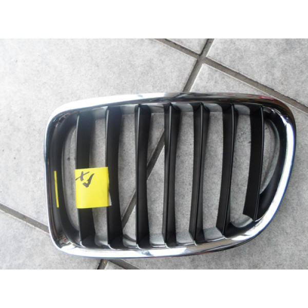 Grade Dianteira Bmw X1 Até 2012