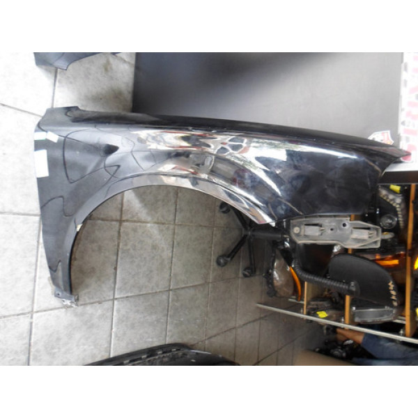 Paralama Passat 2004/05