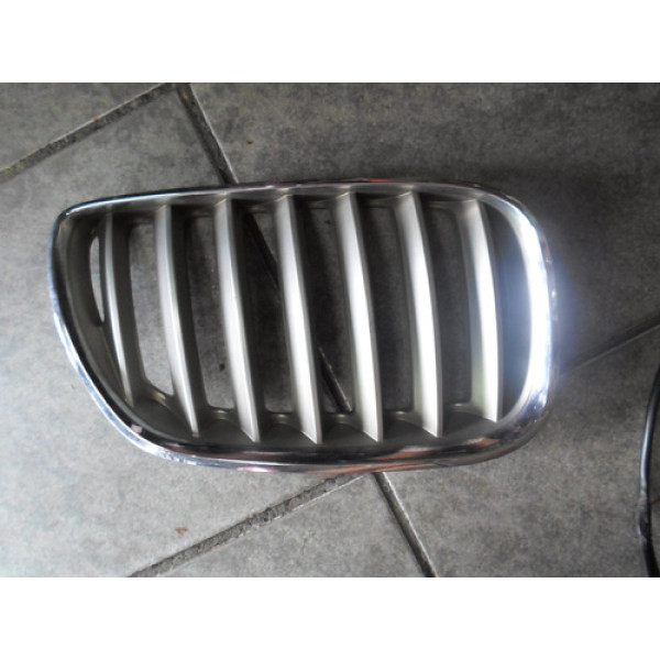 Grade Dianteira Direita Bmw X5 2004/05/06